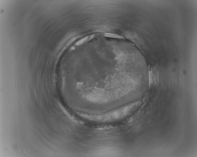 X0000076090243200610152325