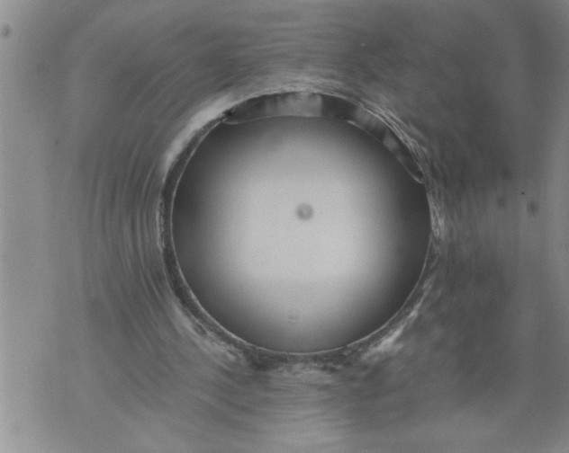 X0000076090244200610152325