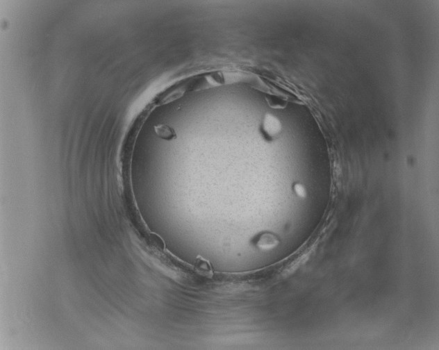 X0000076090246200610152325