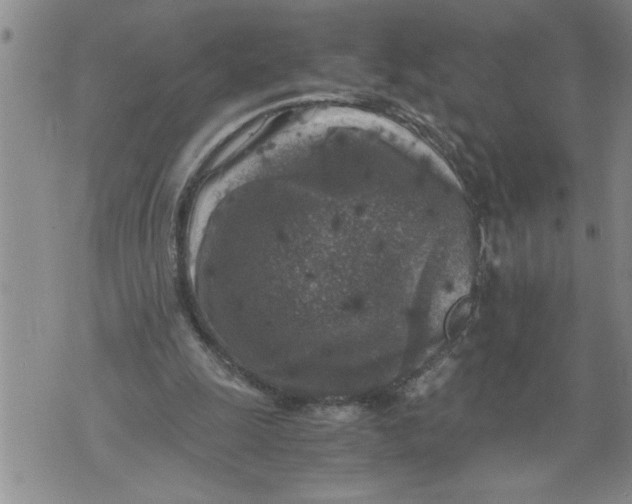 X0000076090247200610152325