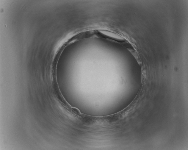 X0000076090248200610152325