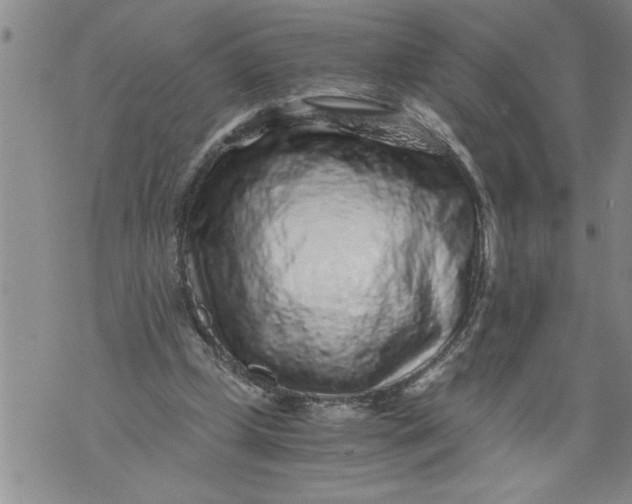 X0000076090249200610152325