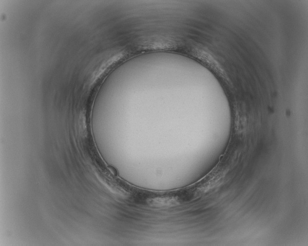 X0000076090251200610152325