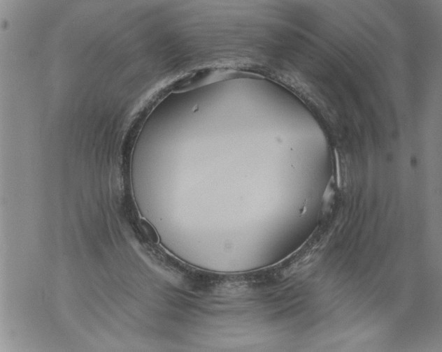 X0000076090252200610152325