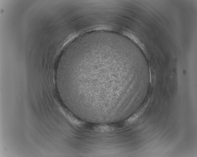 X0000076090253200610152325