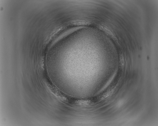 X0000076090255200610152325