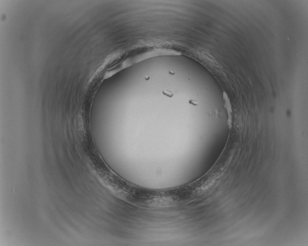 X0000076090256200610152325