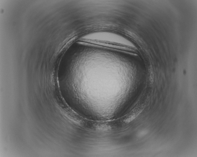 X0000076090258200610152326