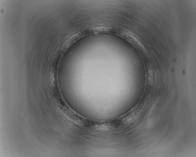 X0000076090259200610152326