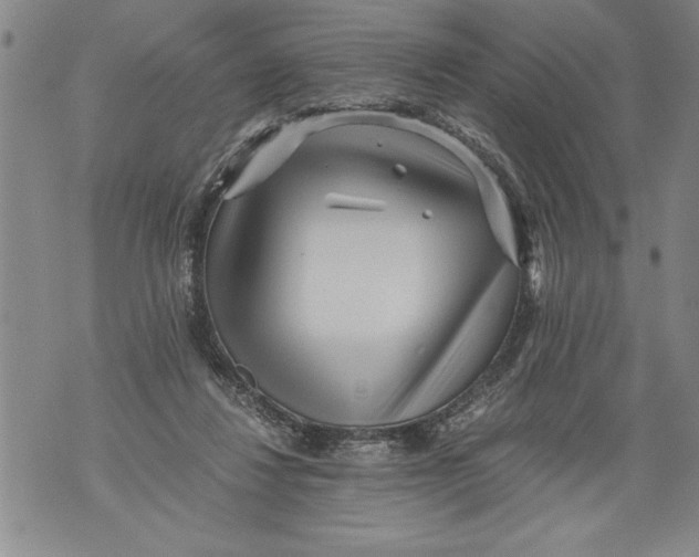 X0000076090260200610152326