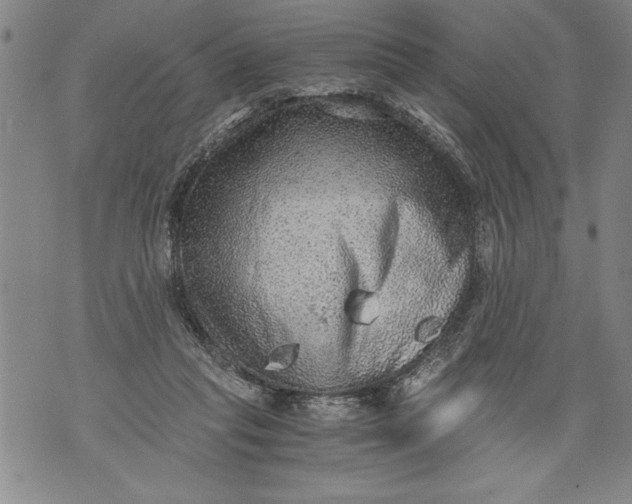 X0000076090261200610152326