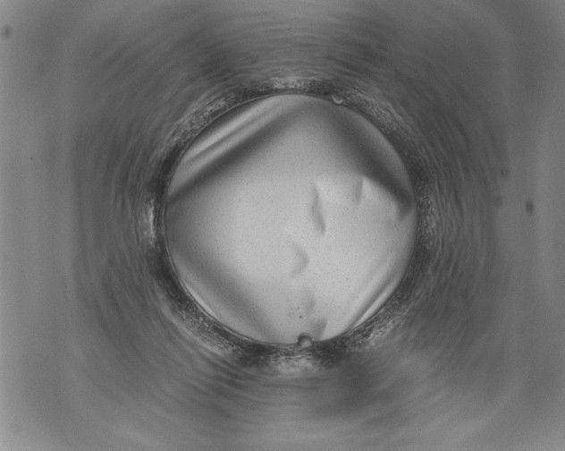 X0000076090262200610152326