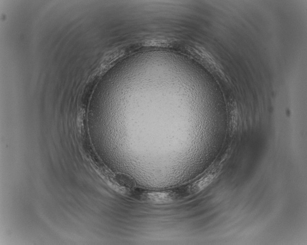 X0000076090265200610152326