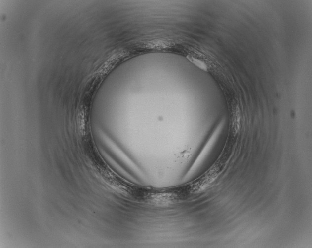 X0000076090268200610152326