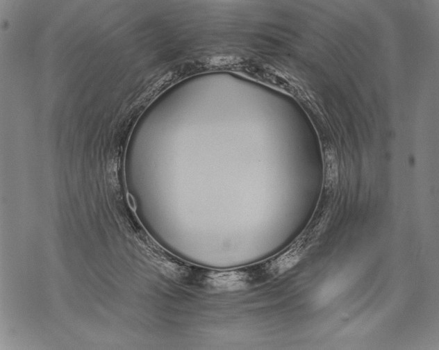 X0000076090269200610152326