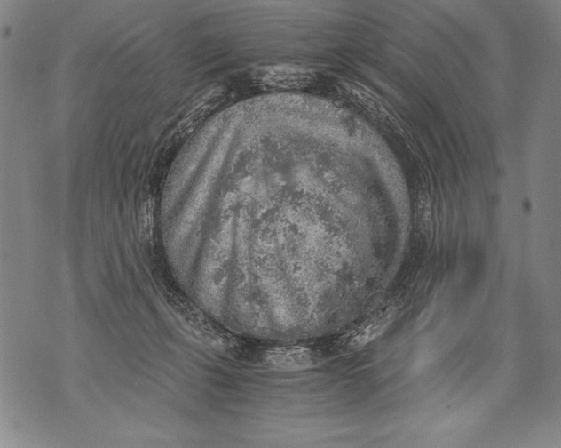 X0000076090271200610152326