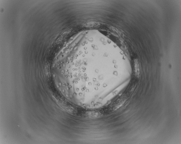 X0000076090272200610152326