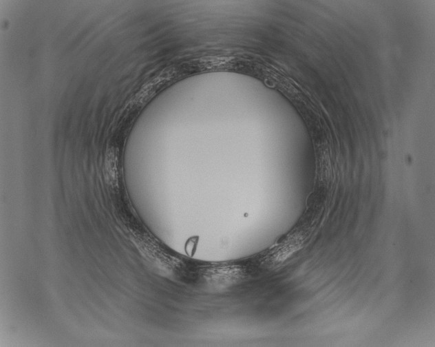 X0000076090274200610152326