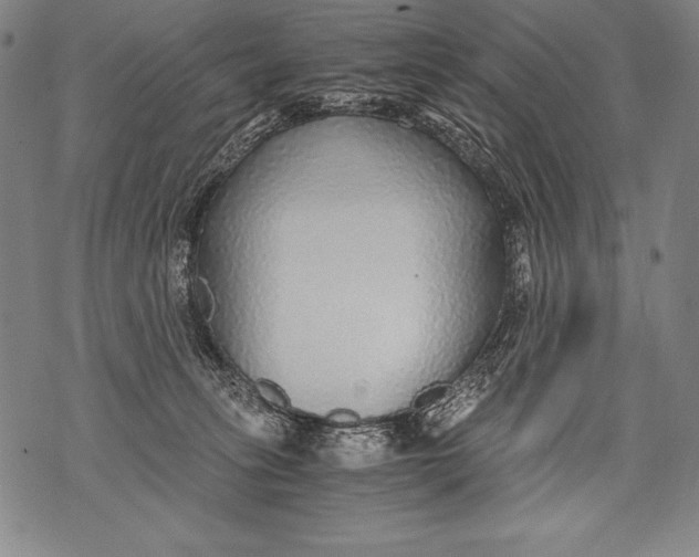 X0000076090275200610152326