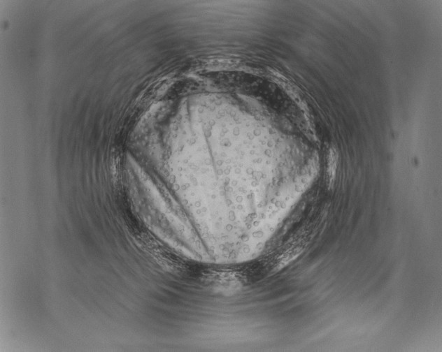 X0000076090276200610152326