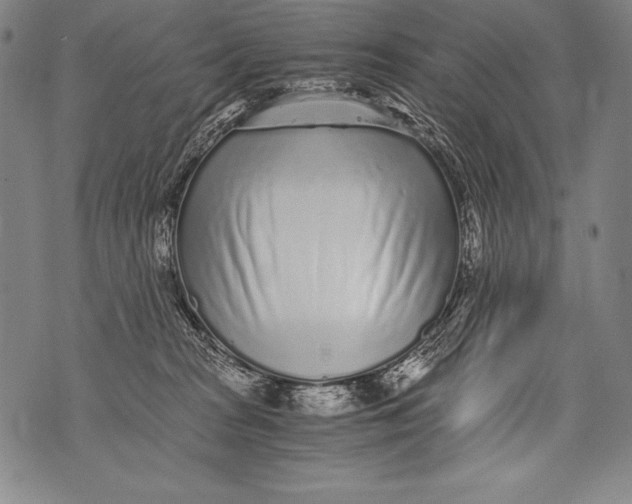 X0000076090277200610152326