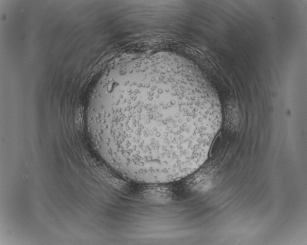 X0000076090278200610152326