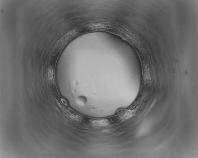 X0000076090281200610152326