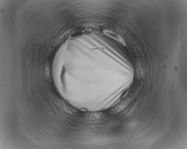 X0000076090282200610152326