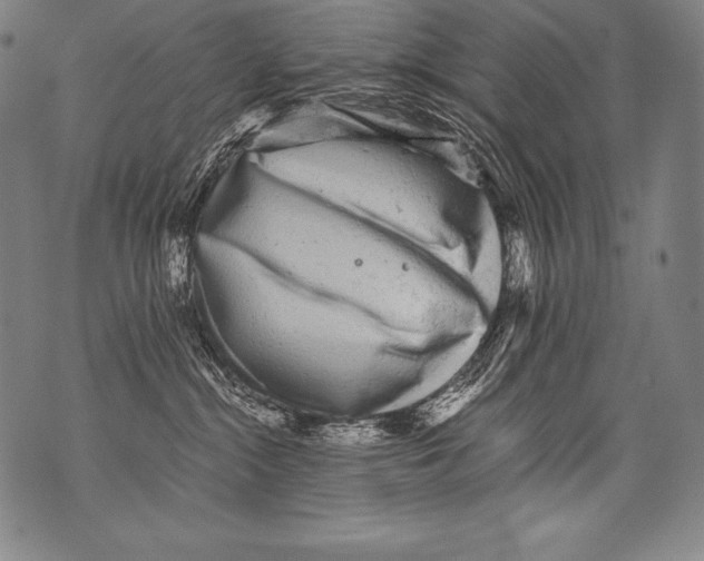 X0000076090284200610152326