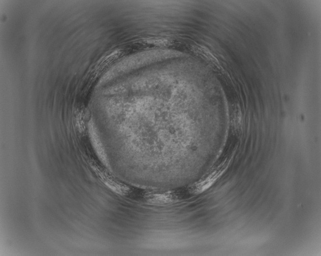 X0000076090285200610152326