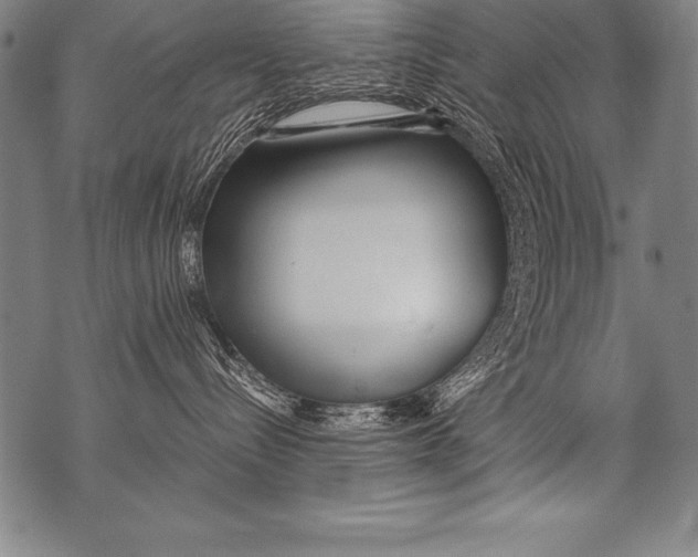 X0000076090288200610152326