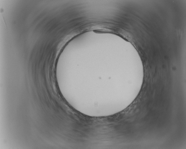 X0000076090289200610152325