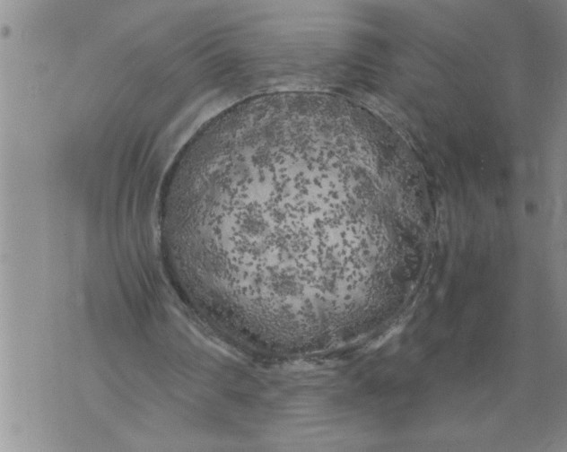 X0000076090290200610152325