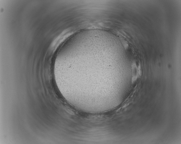 X0000076090291200610152325