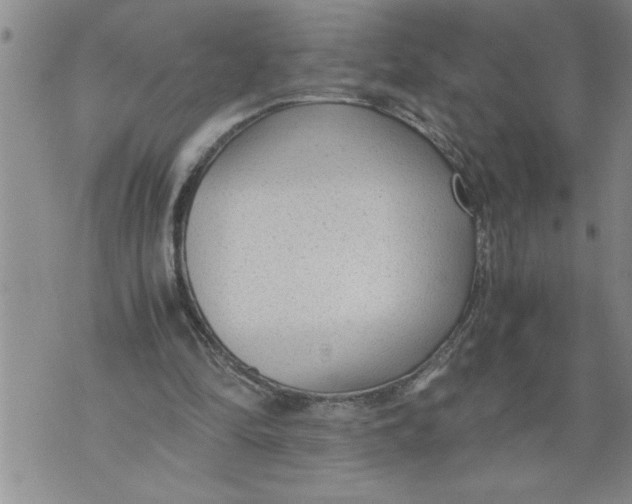 X0000076090294200610152325