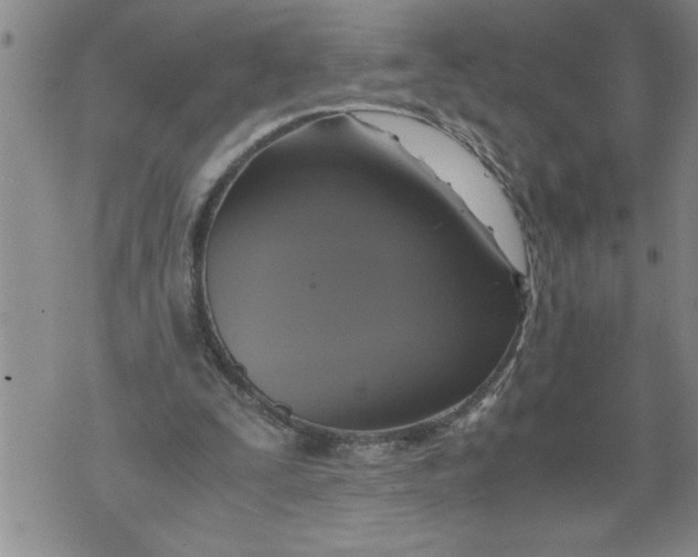 X0000076090295200610152325