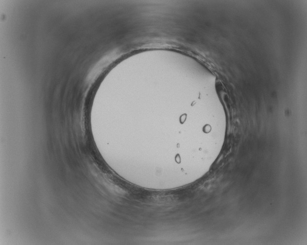 X0000076090296200610152325