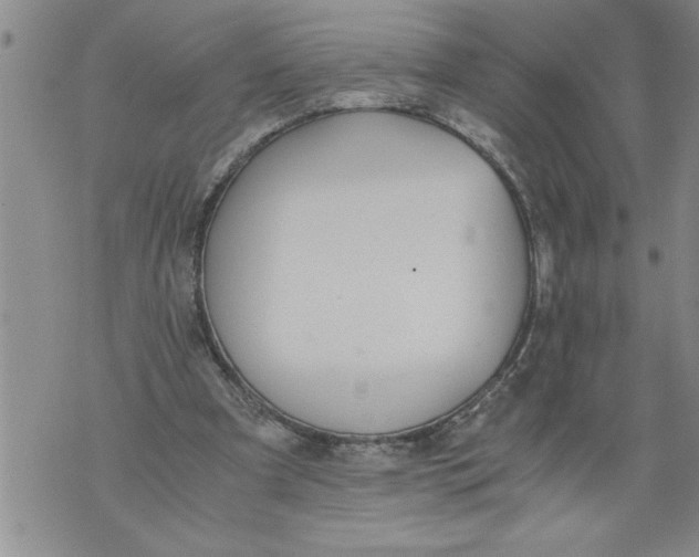 X0000076090297200610152325