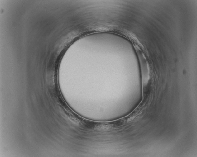 X0000076090299200610152325