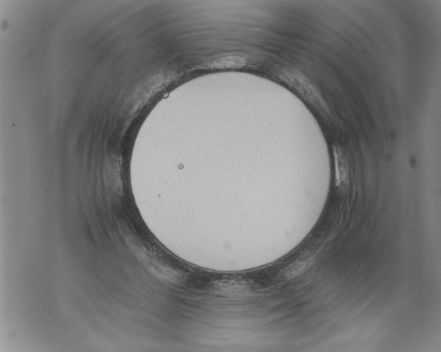 X0000076090300200610152325