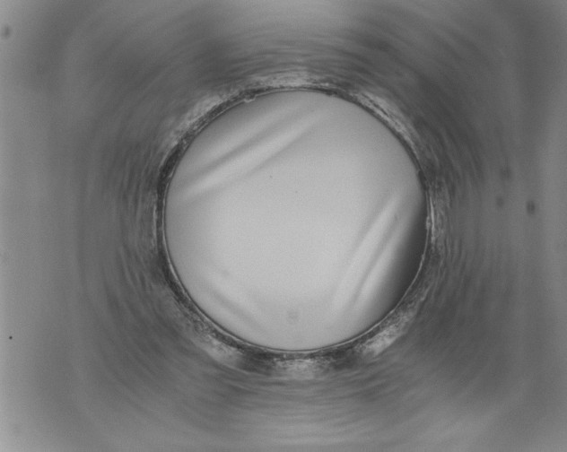 X0000076090301200610152325