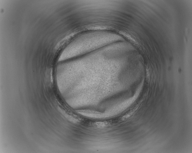 X0000076090302200610152325