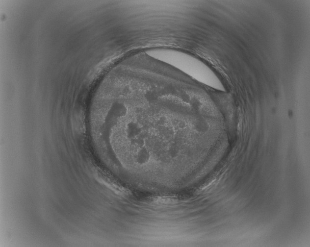 X0000076090303200610152325