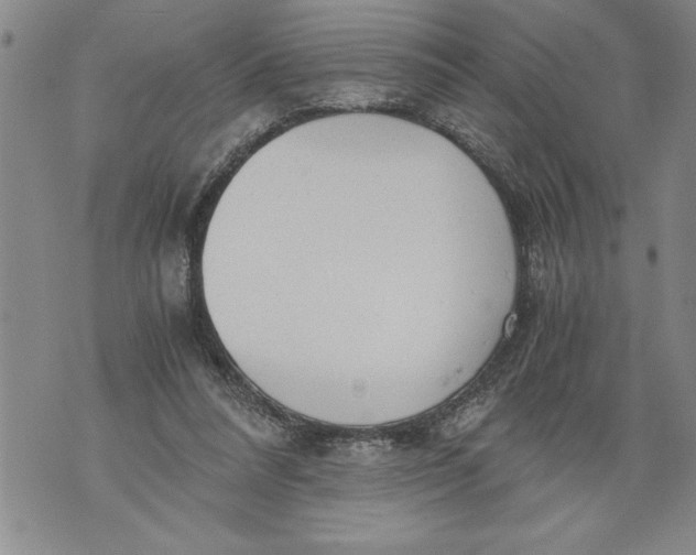 X0000076090304200610152325