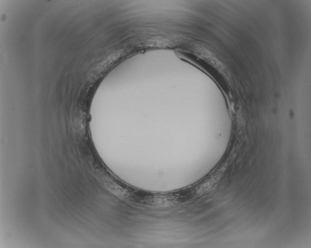 X0000076090305200610152325