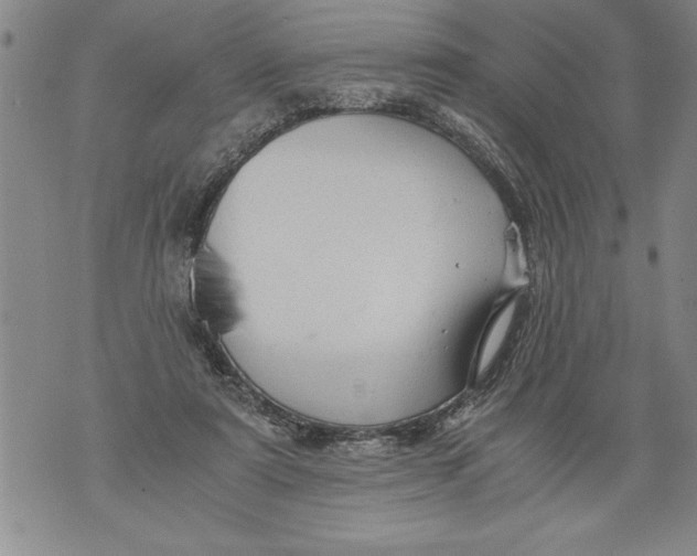 X0000076090307200610152325