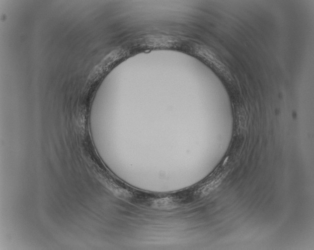 X0000076090309200610152325