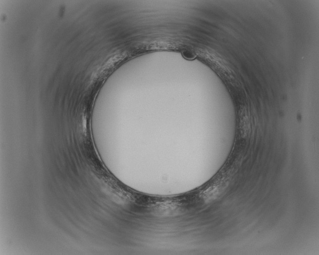 X0000076090310200610152325