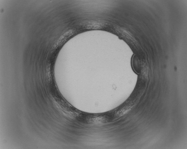 X0000076090312200610152325