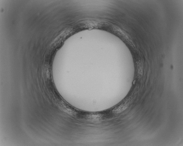 X0000076090313200610152325